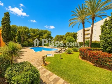 Piscine - Ground Floor Apartment with Private Garden in Maioris