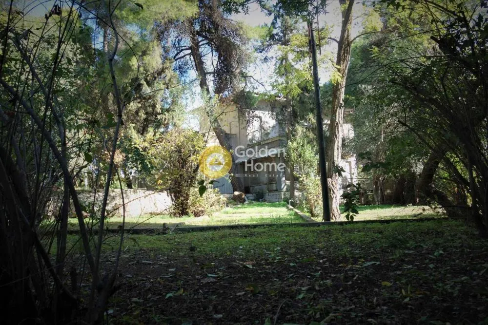 Aed - Traditional Villa with Garden in Égaleo