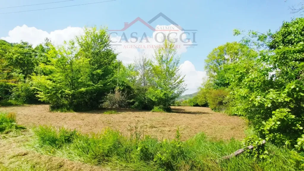 Garden - Rustic Property with Mountain View in Teolo
