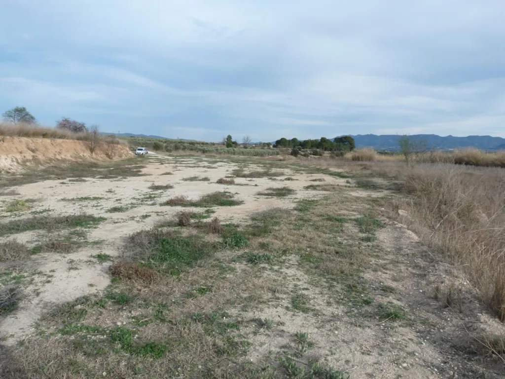Jardin - Buildable Plot with Water Access in Alfarrasí