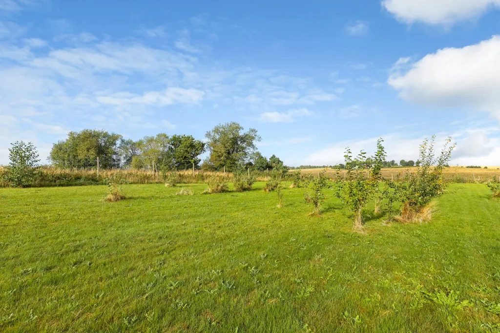 land_plot