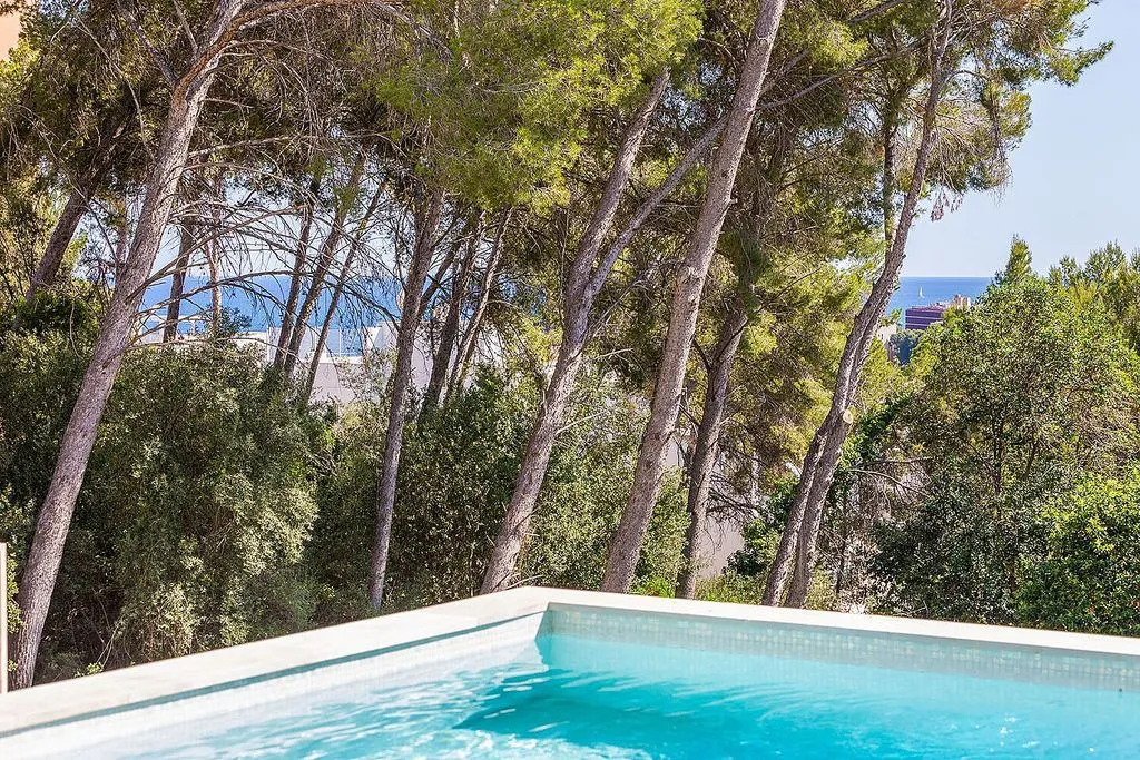 Piscine - Contemporary Villa with Pool in Sant Agustí