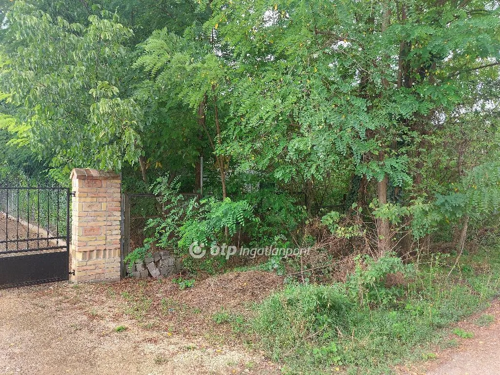 Jardín - Building Land with Development Potential in Gomba