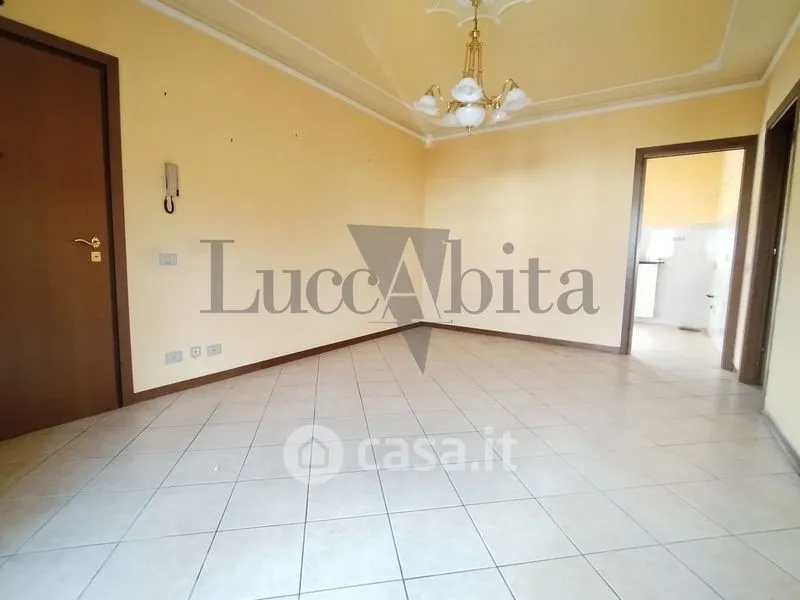 Toad - Apartment with Terrace in Lucca