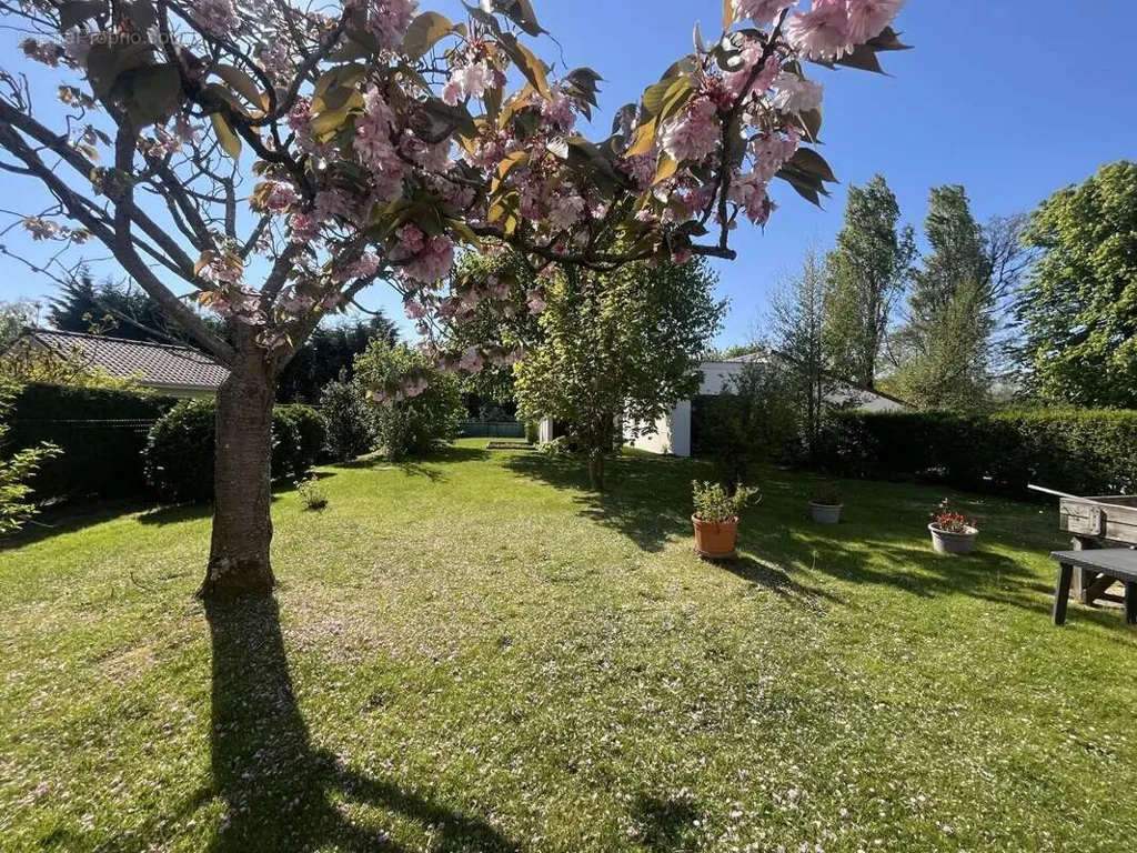 Aed - Architectural Villa with Garden in Merlimont