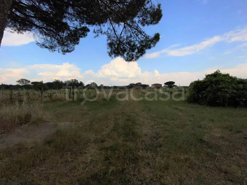 land_plot