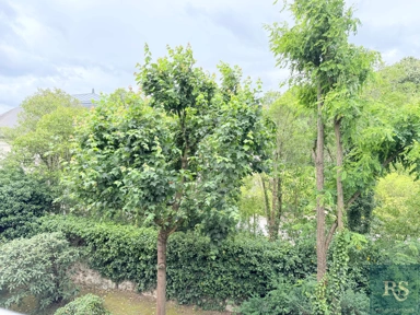Giardino - 3-Piece Flat with Balcony in Châtenay-Malabry