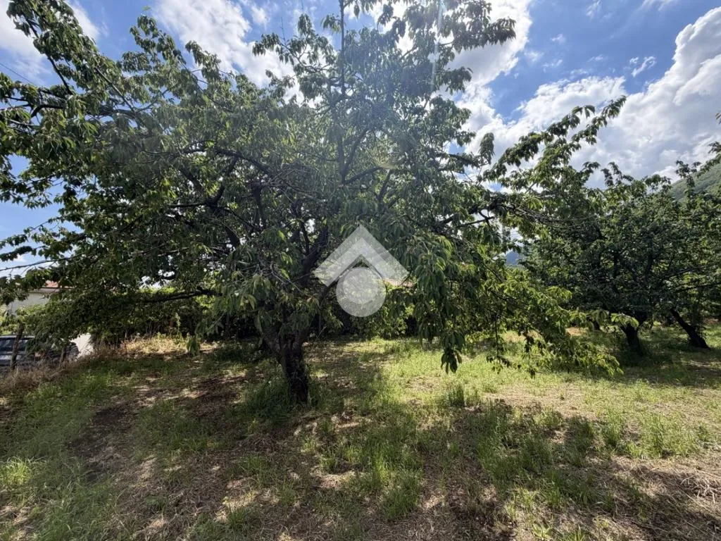 Jardin - Agricultural Land with Cherry Trees in Cervinara
