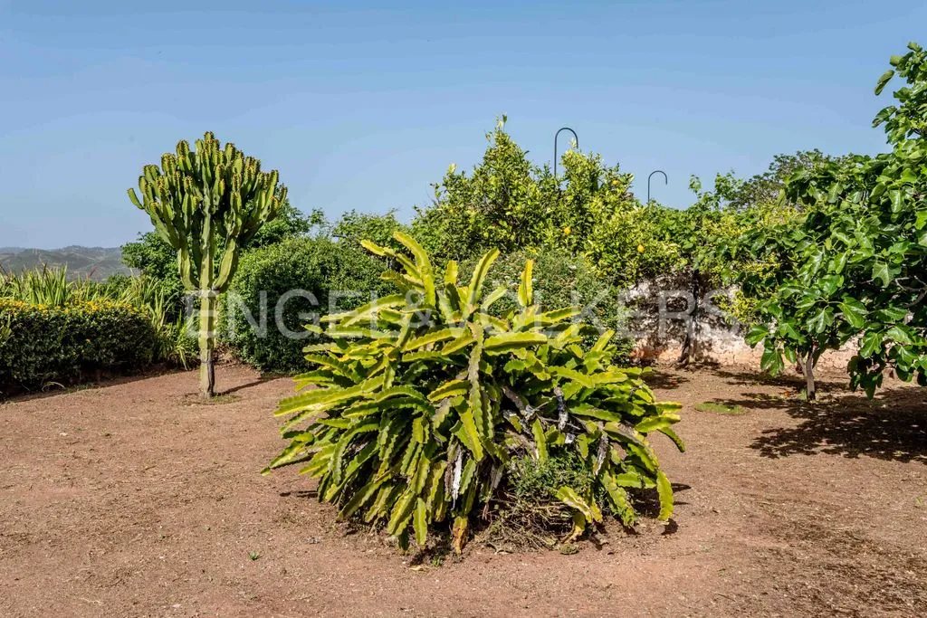 Jardin - Luxury Villa with Garden near Silves Castle