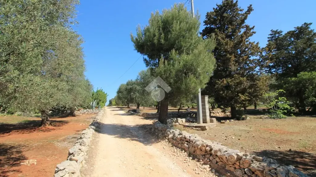 Rustic Cottage with Buildable Land near Ostuni