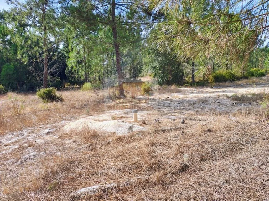 Jardin - Buildable Land with Pool Potential in Grândola