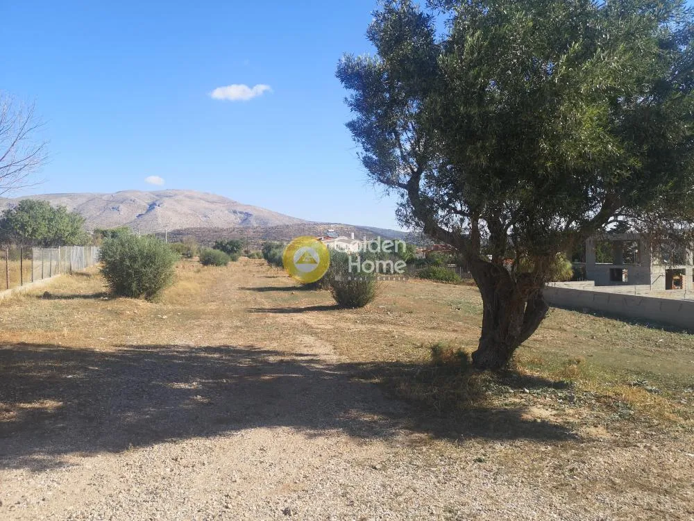 Aed - Agritourism Plot with Sea View in Anavyssos