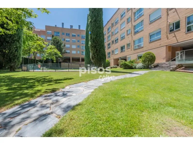 Giardino - Ground Floor Flat with Garage in Piovera