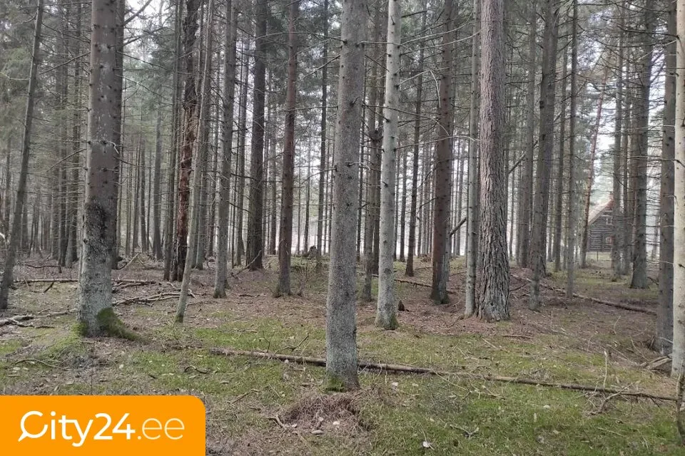 Land Plot for Private House in Grobiņa