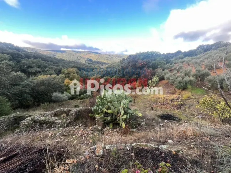 Jardin - Rustic Finca with Water Source in Castañar de Ibor