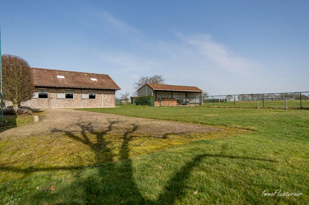 Jardin - Maison avec Écuries et Piste Extérieure à Bree