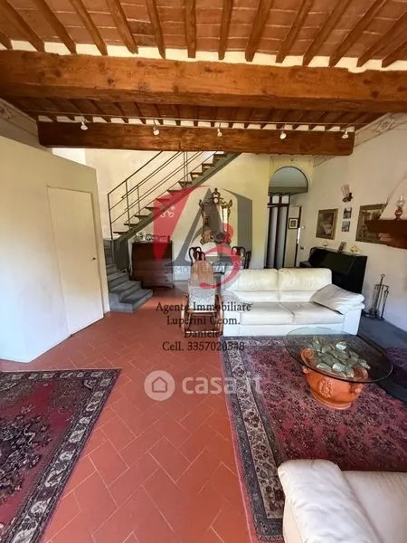 Elutuba - Restored Rustico with Garden in Pisa