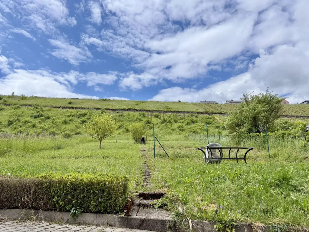 Garden - Historic Maison with Garden in Wormeldange