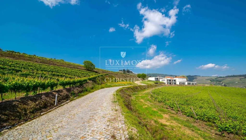 Aed - 5-Star Quinta with Vineyard Views in Douro Valley