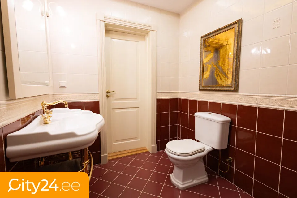 Vannitoad - Modernised Flat with Terrace in Tartu City Centre