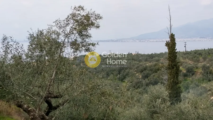 Aed - Plot with Sea View in Avia - Akrogiali