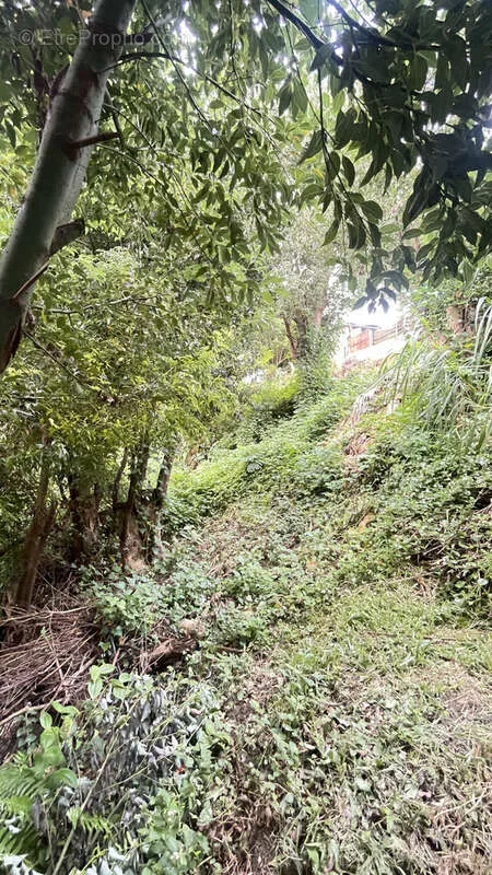 Aed - Buildable Land in La Confiance, Sainte-Marie