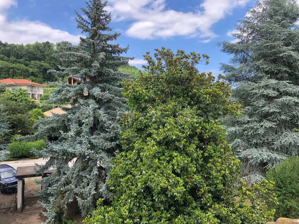 Aed - Villa with Private Garden in Agliè