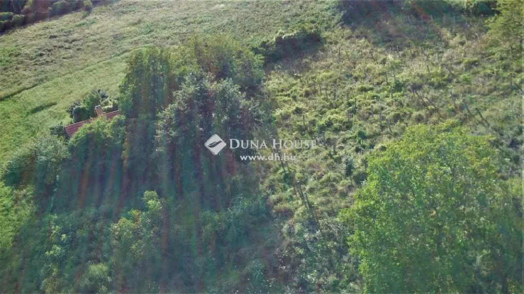 Õhuvaade - Panoramic Plot with Vineyard Potential in Köveskál