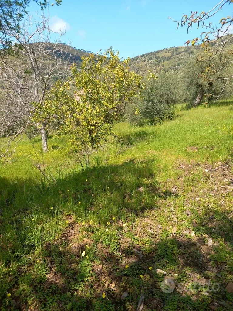 Jardin - Rustic Land with Buildings near Cefalù