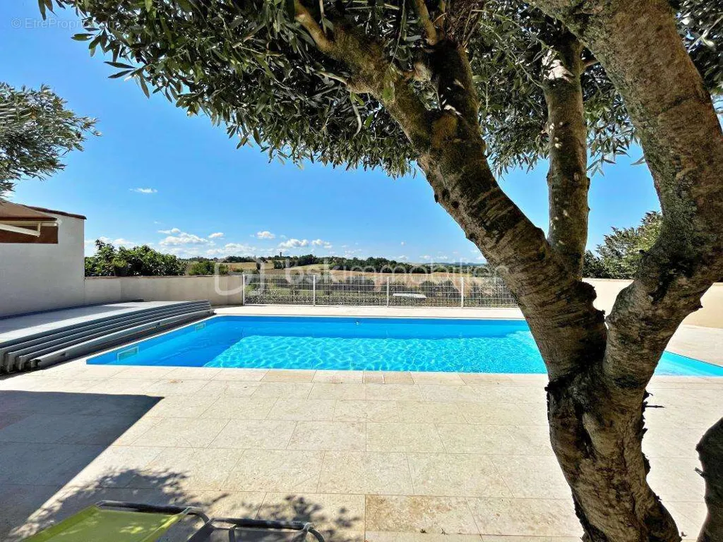 Bassein - Charming Equestrian Estate with Paddock in Florentin