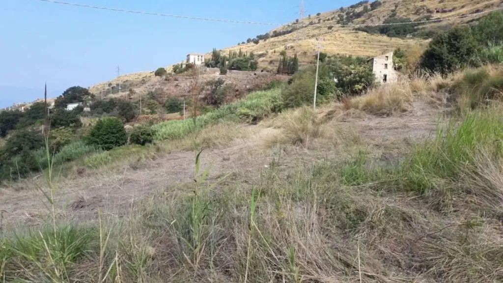 Jardin - Rustic Sea View Property in Cetraro