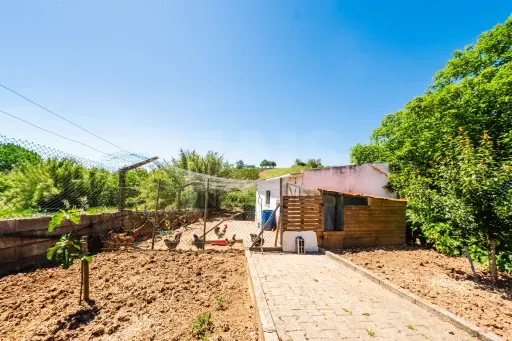 Jardin - Charming House with Fruit Trees in Private Setting