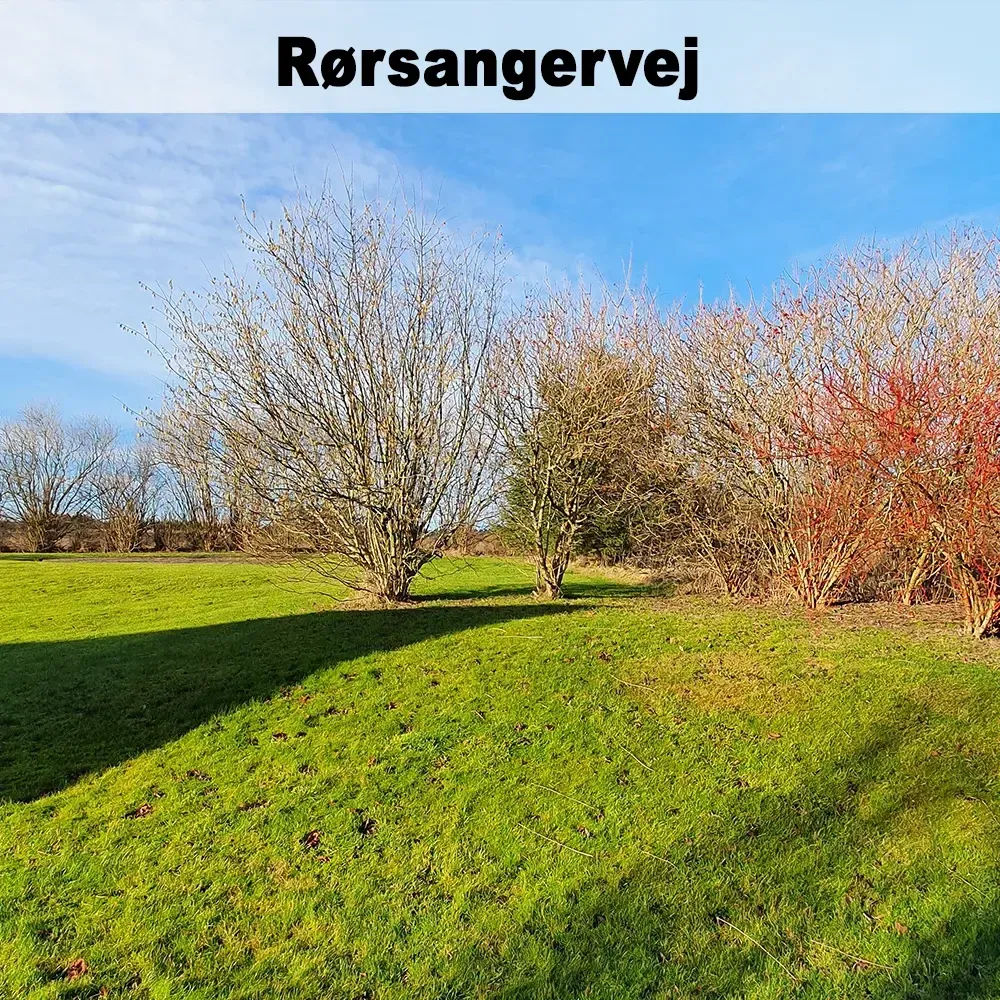 Jardin - 3-Bedroom Terraced House in Brovst