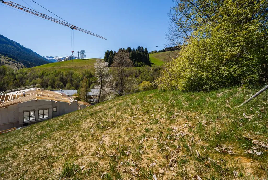 Aed - Central Plot in Saalbach Ski Area