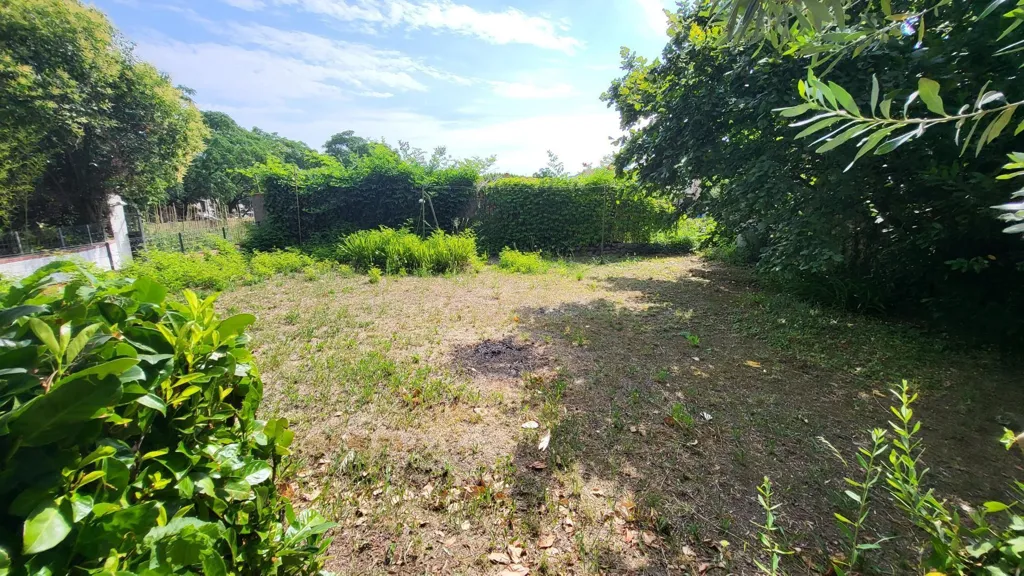 Giardino - Character House with Garden and Mountain View in Céret