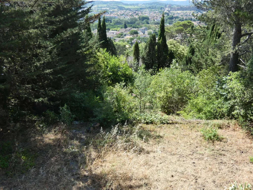 Aed - House with Panoramic View of Cité in Carcassonne