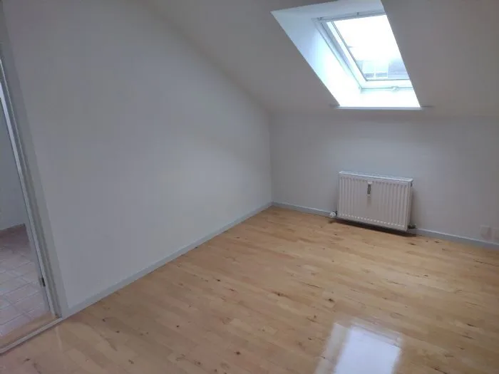 Toad - Two-Bedroom Flat in Odense C