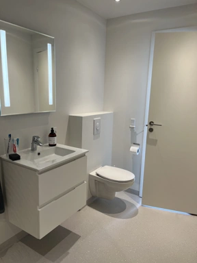 Salles de bain - Renovated Apartment with Garden Access in Haderslev
