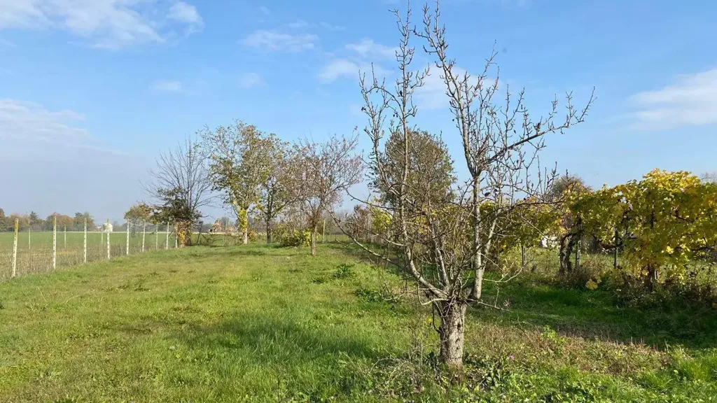 Aed - Villa with Garden in Ponte Dell'Olio