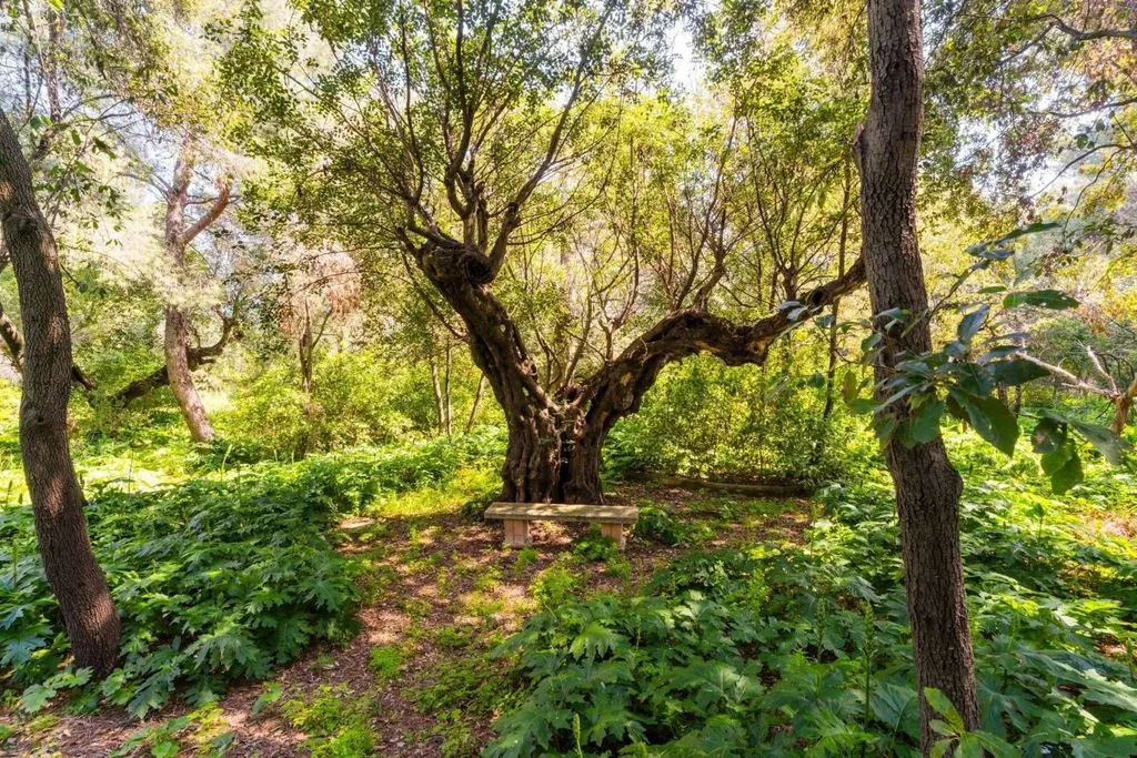 Aed - Historic Villa with Private Park in Bari