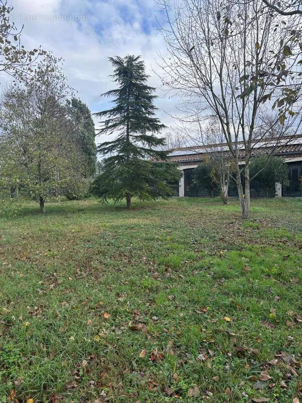 Jardin - Terrain Constructible avec Piscine Intérieure à Revel