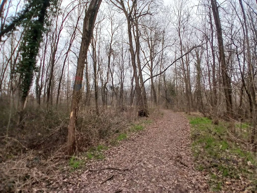 Jardín - Agricultural Land with Forest in Benna/Candelo