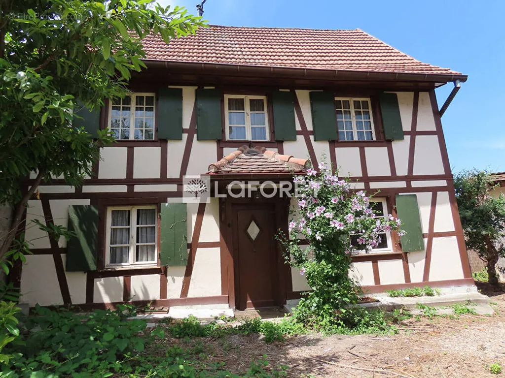 Extérieur - Maison à Rénover avec Jardin à Benfeld