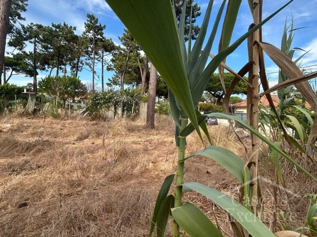 Aed - Approved Plot for T4 House in Colares, Sintra