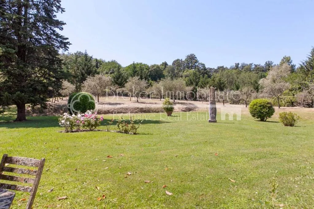 Aed - Historic Villa with Pool near Lucca