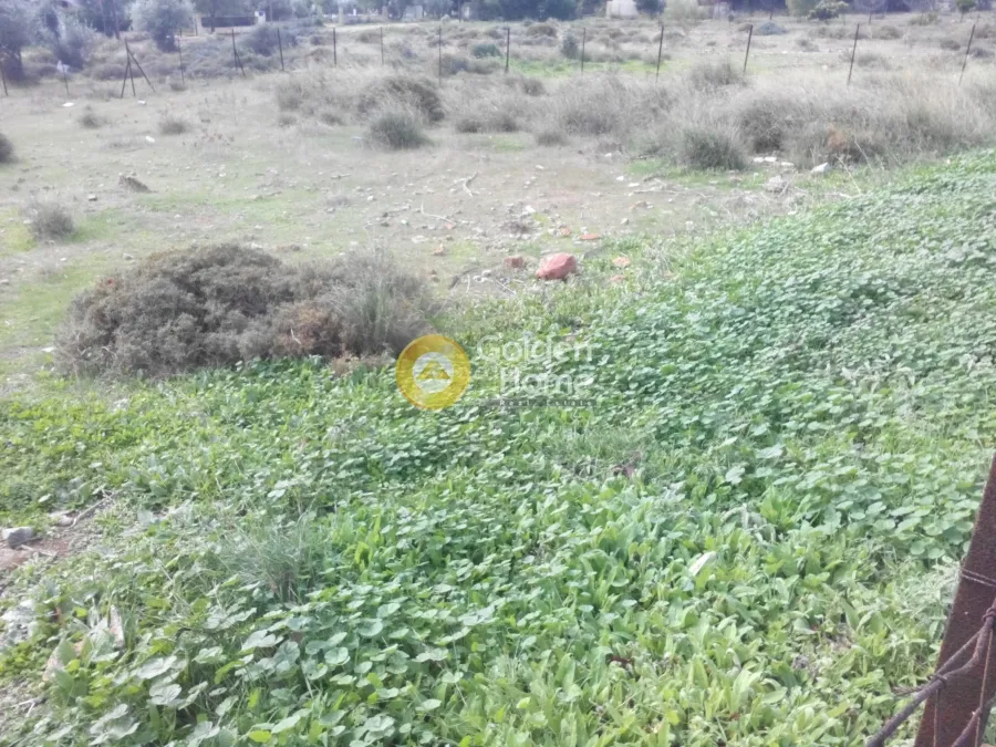 Aed - House with Sea View in Anavyssos