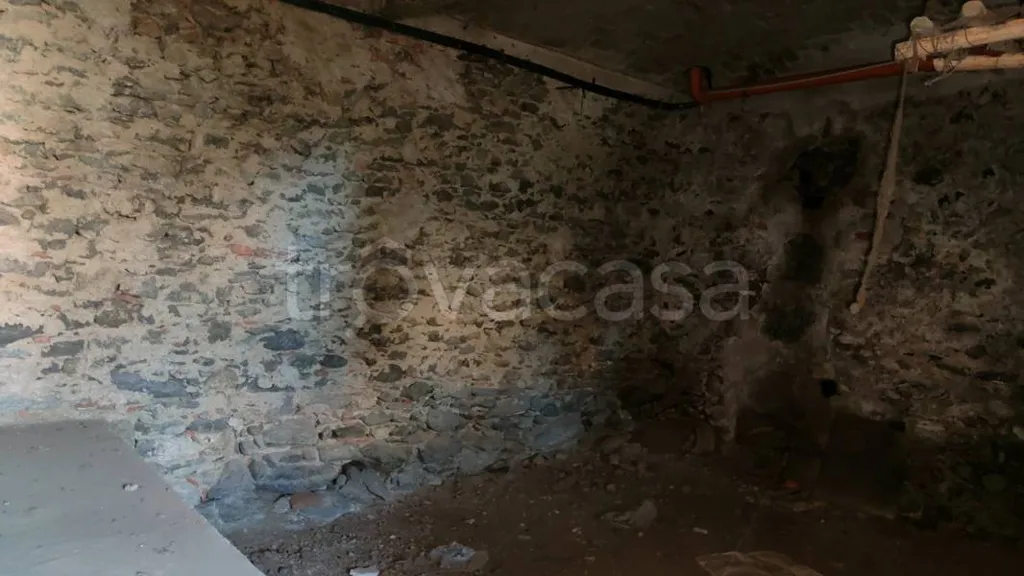 Toad - Rustic Cottage for Renovation in Caprie