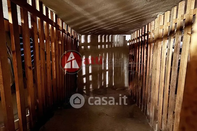Toad - Apartment with Terrace in Trieste