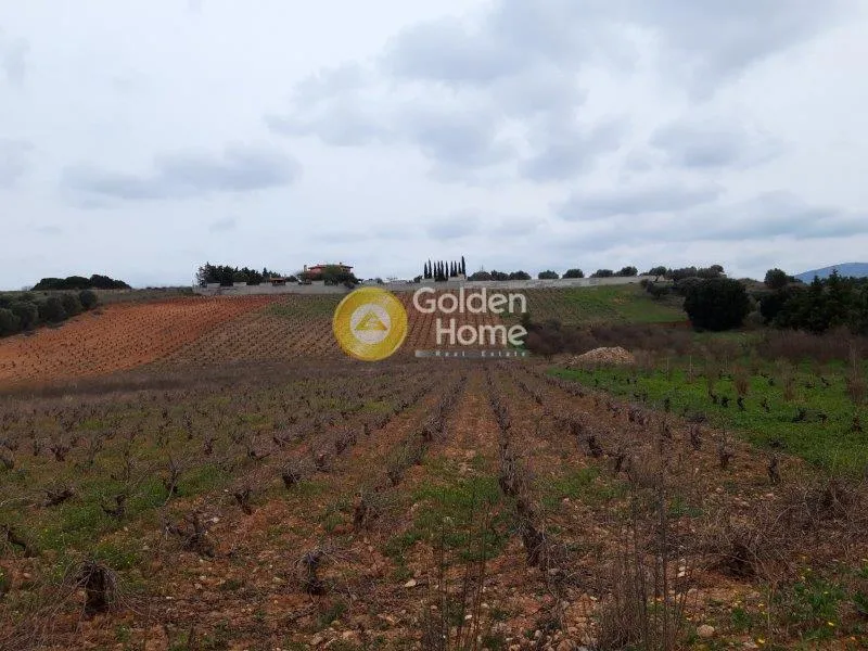 Jardin - Detached Villa with Unobstructed Views in Vravrona
