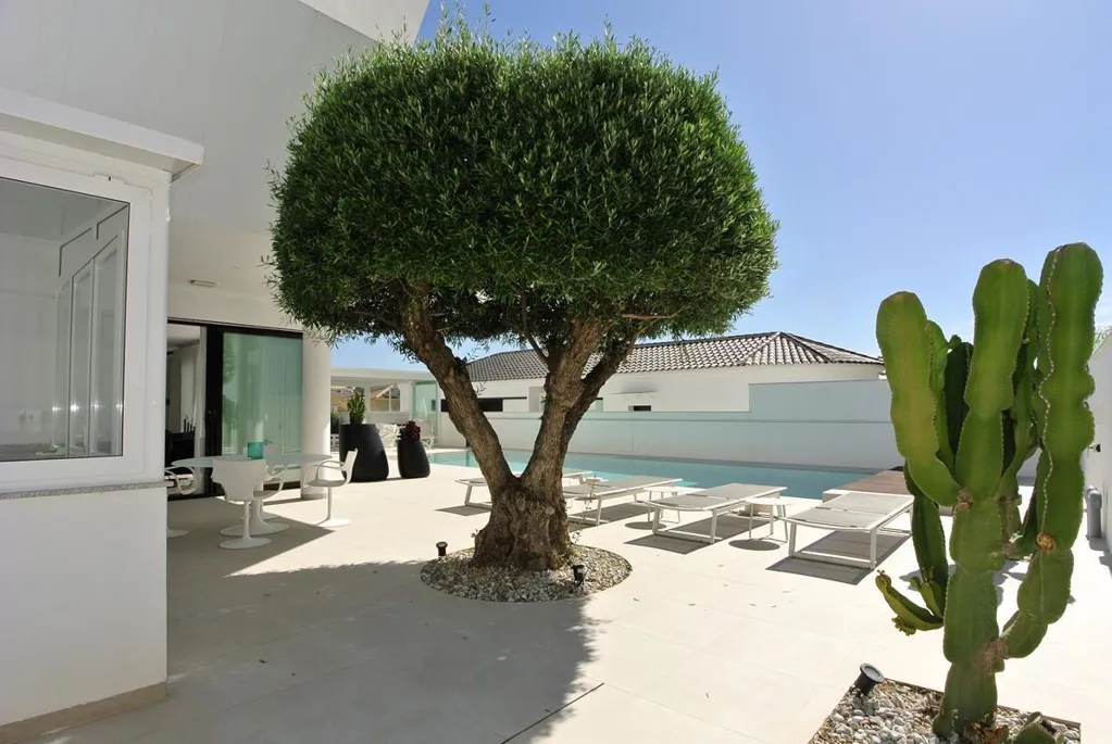 Piscina - Luxury Villa with Pool in La Marina